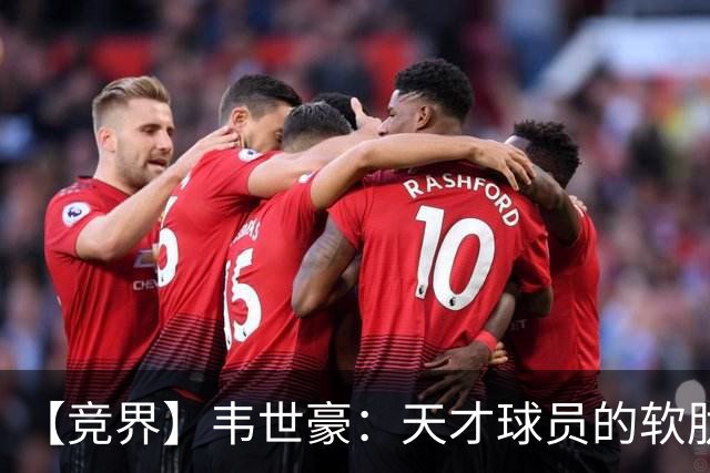 【竞界】韦世豪：天才球员的软肋 洪七公效应的外溢